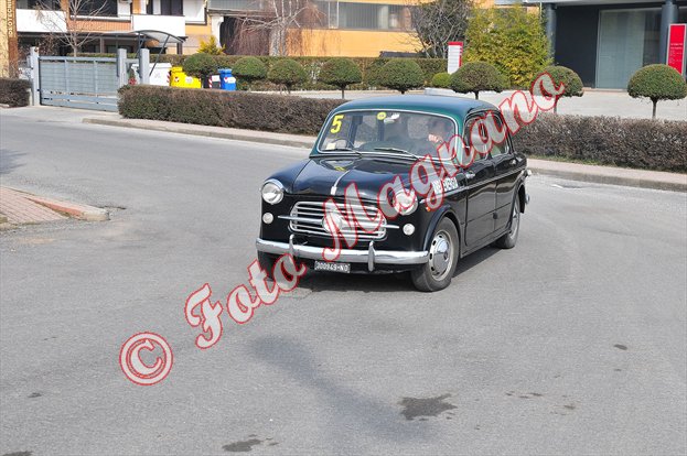 DSC_8350.jpg
